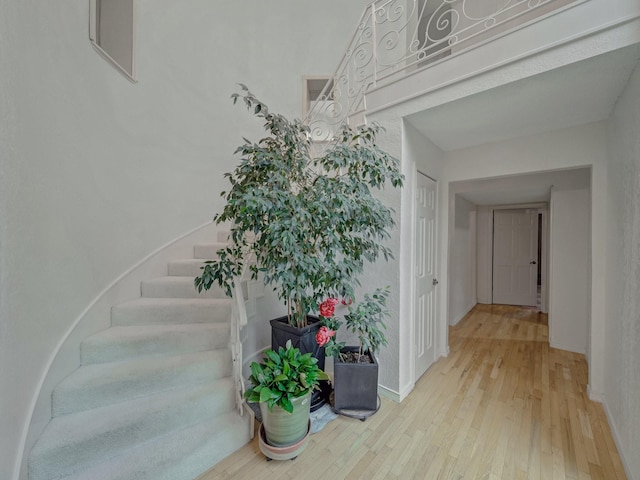 907 Red Oak Creek Dr, Ovilla, TX 75154 - hallway with hardwood / wood-style flooring, stairs, and baseboards