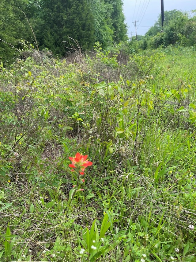 TBD Vz County Road 2908, Eustace, TX 75124