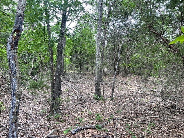 TBD Vz County Road 2908, Eustace, TX 75124