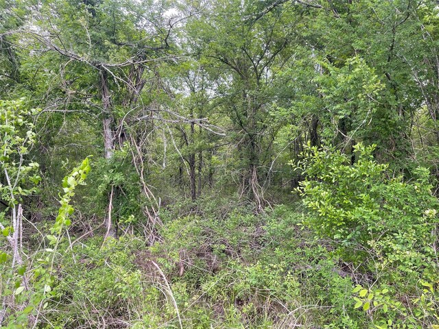 TBD Vz County Road 2908, Eustace, TX 75124