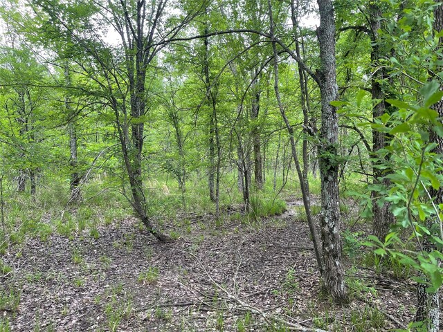 TBD Vz County Road 2908, Eustace, TX 75124