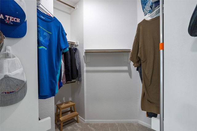 spacious closet featuring carpet