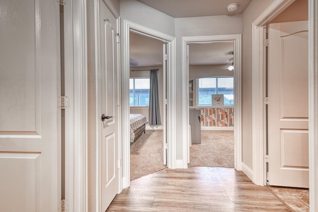 1023 Clydeview Rd, Forney, TX 75126 - corridor featuring light carpet and light wood finished floors