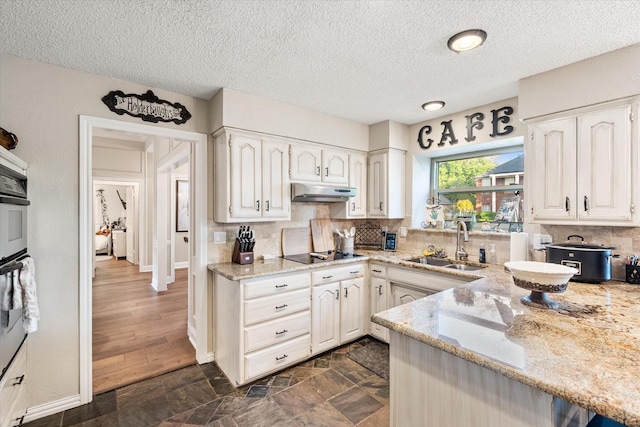 kitchen featuring black electric cooktop, light stone counters, under cabinet range hood, a sink, and tasteful backsplash