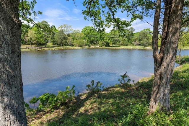 view of water feature with a view of trees