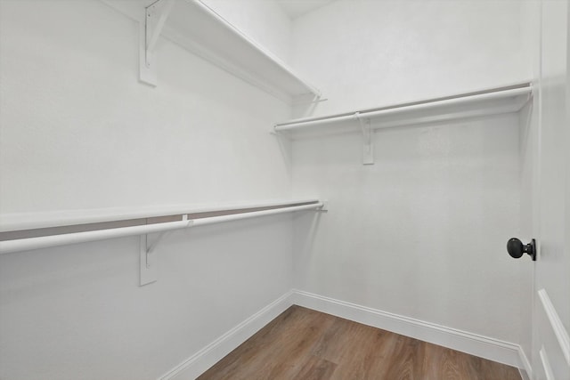 924 Charleston Ln, Savannah, TX 76227 - walk in closet with wood finished floors