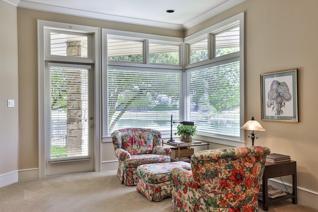 5817 Cypress Point Dr, Fort Worth, TX 76132 - sitting room with carpet flooring, plenty of natural light, and crown molding