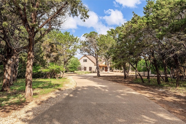 view of road featuring aphalt driveway