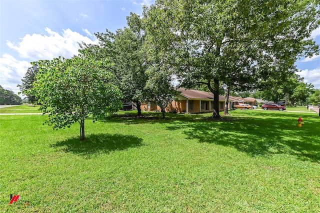 9820 Hillsboro Dr, Shreveport, LA 71118 - view of yard