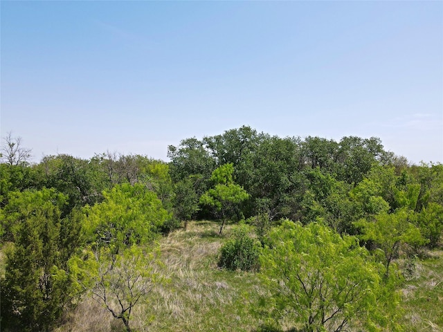 8 Buffalo Ridge Dr, Stephenville, TX 76401