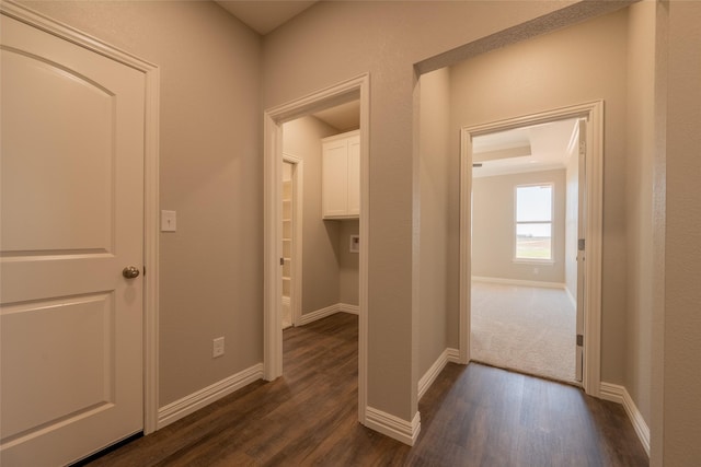 2567 Fm 368, Iowa Park, TX 76367 - hallway with dark wood finished floors and baseboards