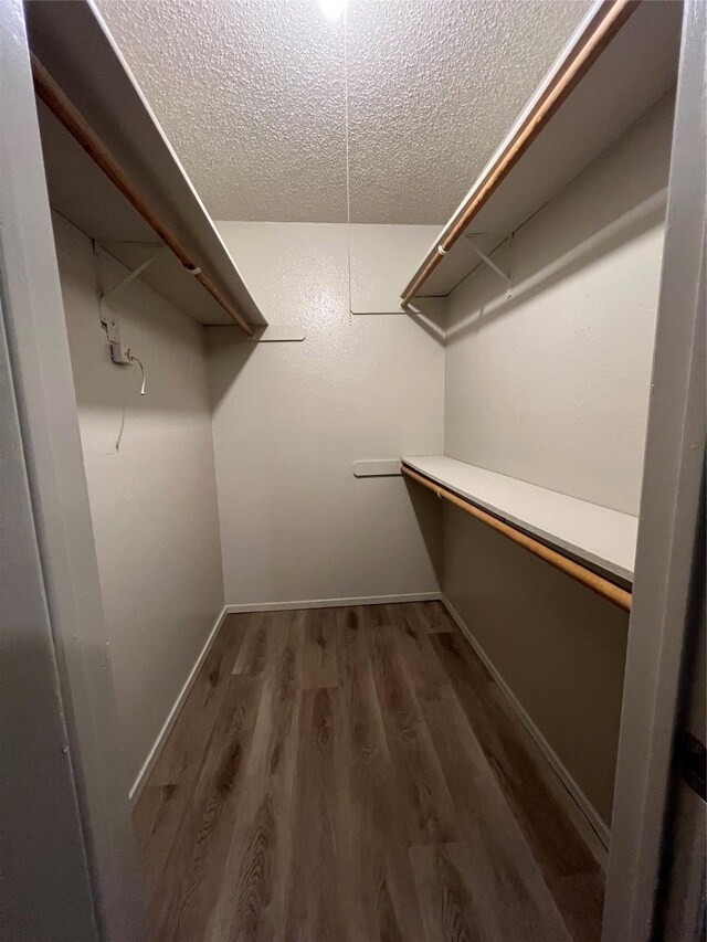 walk in closet featuring wood finished floors