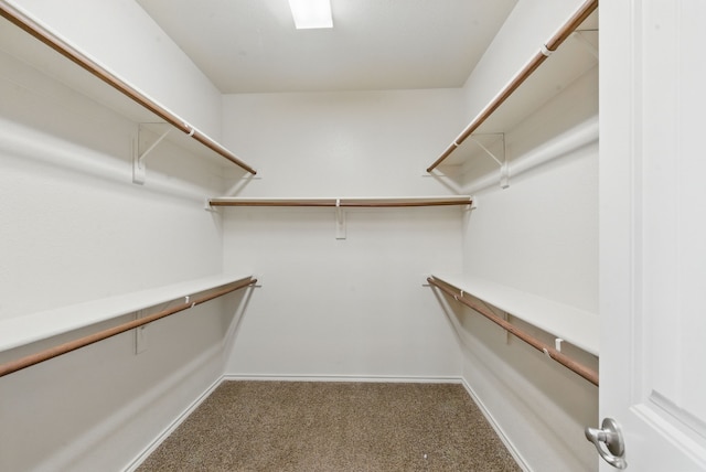 walk in closet featuring carpet