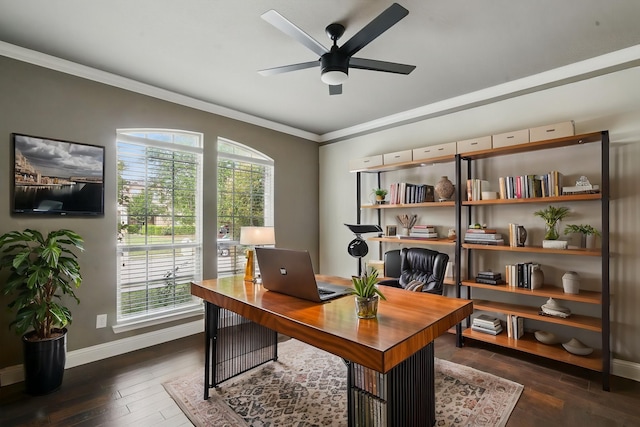 office space featuring a wealth of natural light, ornamental molding, dark wood-style floors, and baseboards