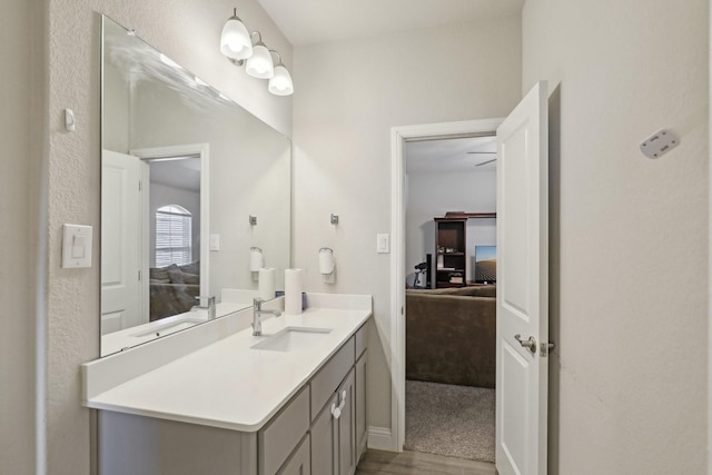 3651 Rainwater Trl, Grand Prairie, TX 76065 - bathroom featuring ensuite bathroom, wood finished floors, and vanity