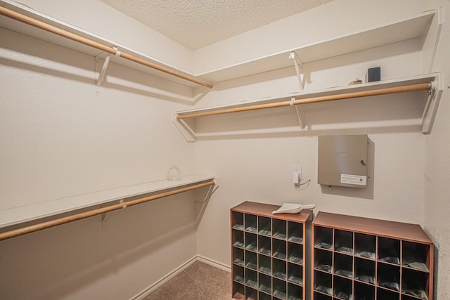 spacious closet featuring carpet floors