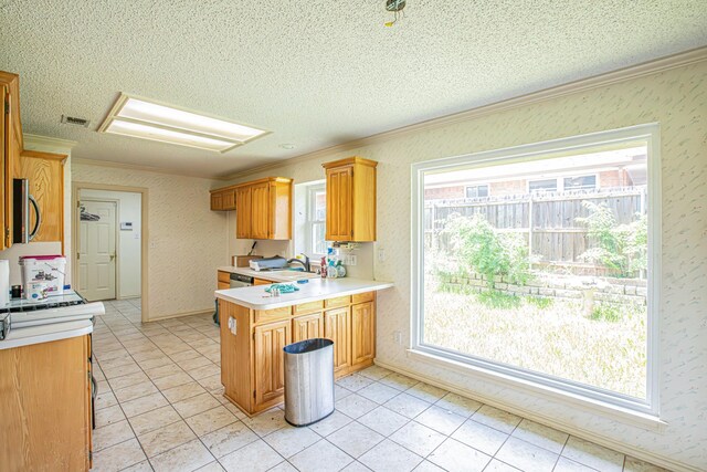 kitchen featuring crown molding and a textured ceiling