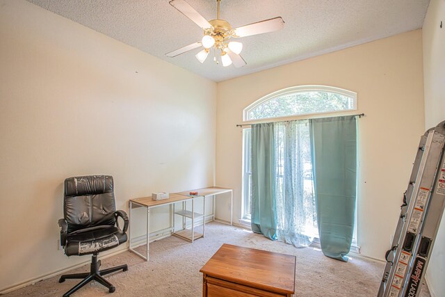 office space with water heater, carpet floors, a ceiling fan, and a textured ceiling