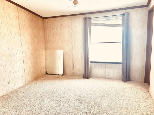 458 Jackson Ave, Strawn, TX 76475 - spare room with a healthy amount of sunlight, wooden walls, and carpet