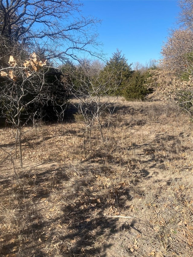 view of local wilderness