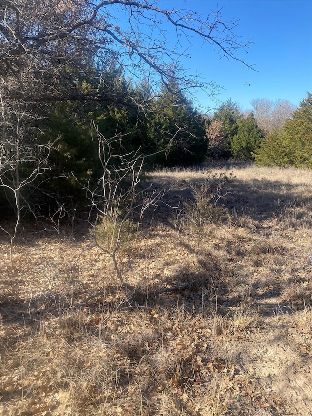 view of nature