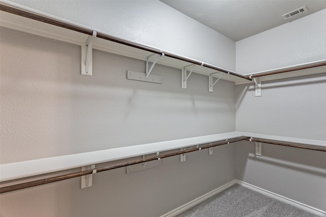 walk in closet featuring visible vents and carpet floors
