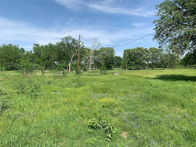 view of yard with a rural view