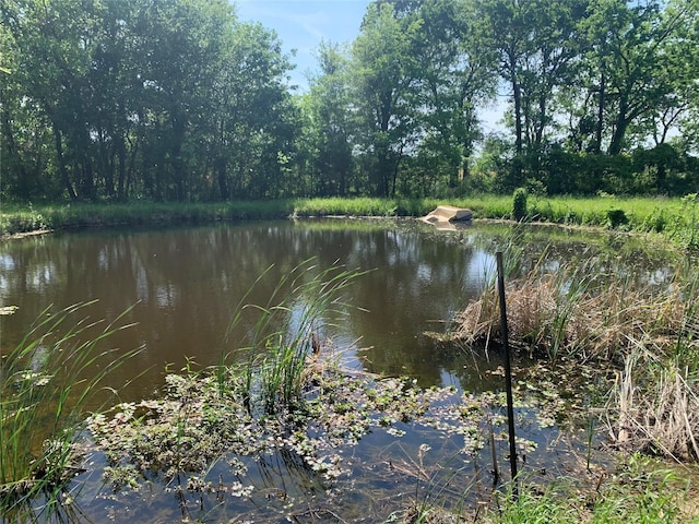 view of water feature