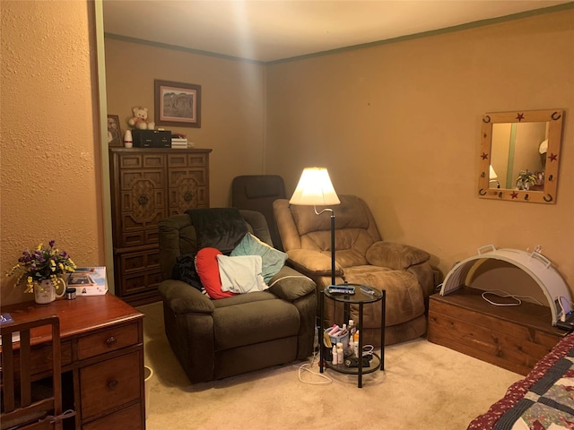 living area featuring carpet floors