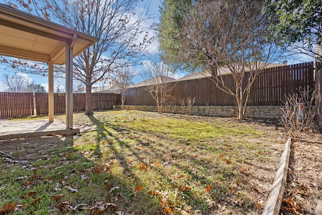 view of yard featuring a fenced backyard and a patio