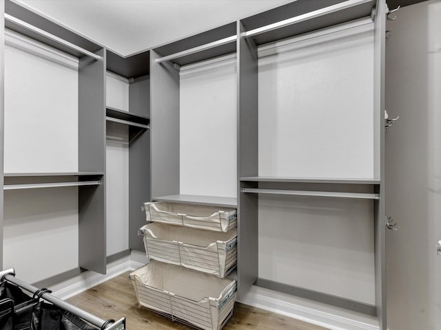 walk in closet featuring wood finished floors
