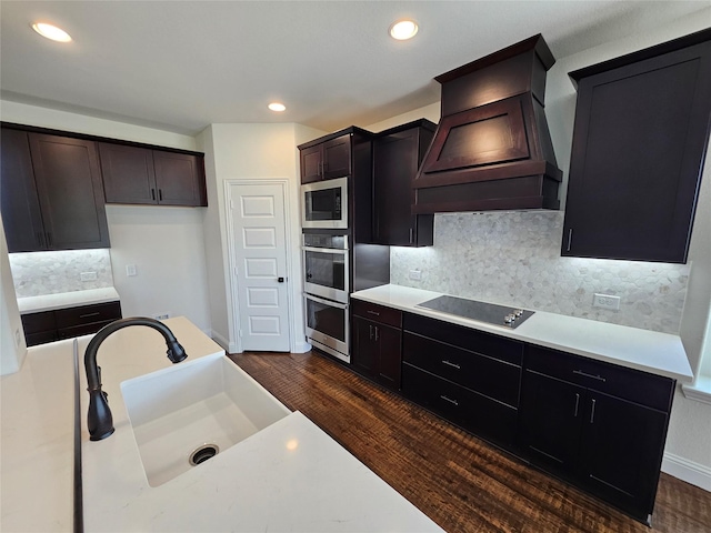 kitchen with dark wood-style floors, backsplash, a sink, premium range hood, and appliances with stainless steel finishes