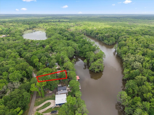 230 W Sesame St, Karnack, TX 75661 - aerial view of property's location with a forest, a large body of water, and property parcel outlined