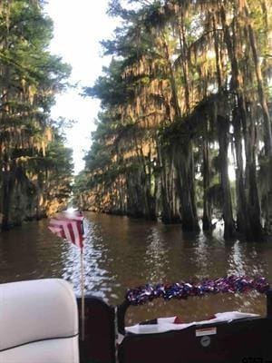 230 W Sesame St, Karnack, TX 75661 - water view