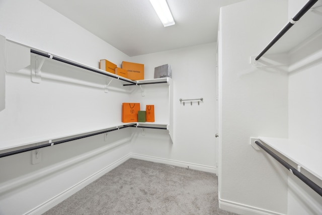 8517 Holliday Creek Way, Mckinney, TX 75071 - walk in closet with light carpet