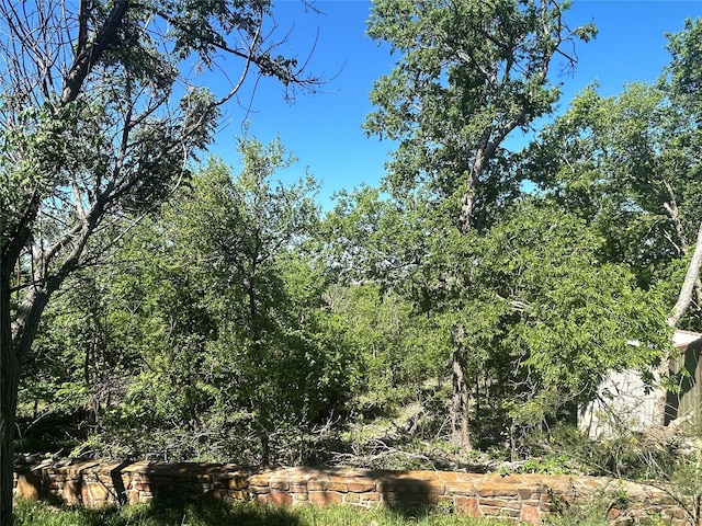 view of local wilderness