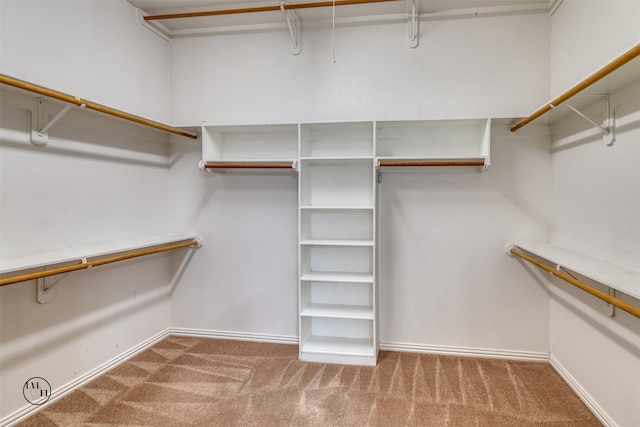 walk in closet with carpet