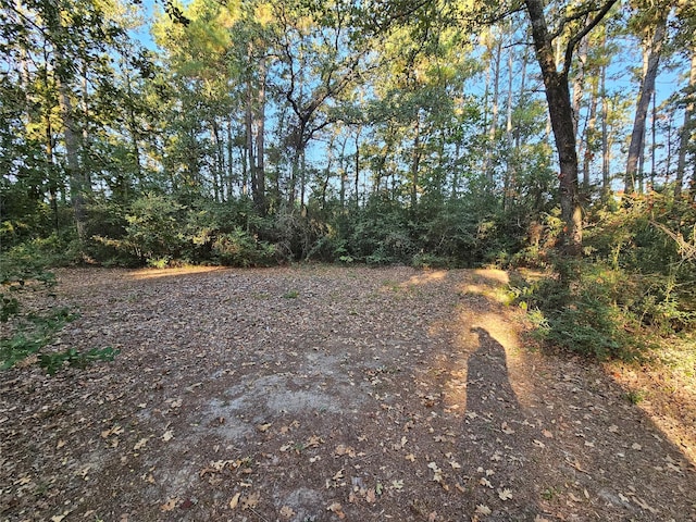 view of local wilderness featuring a view of trees