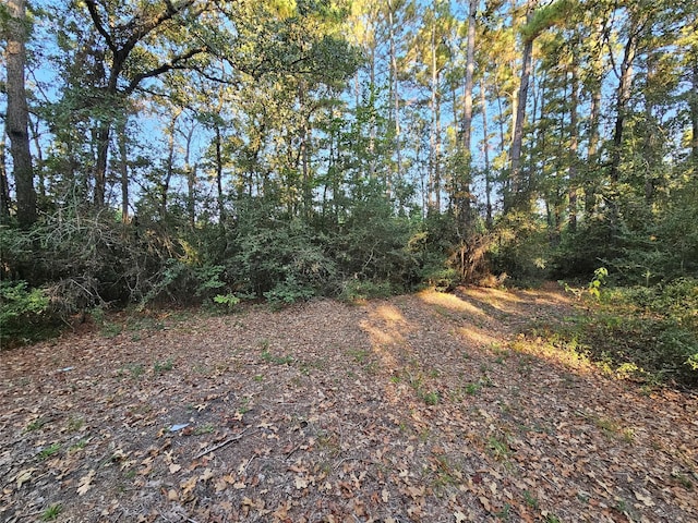 view of local wilderness with a forest view