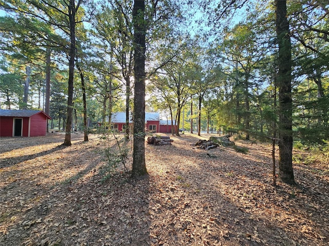 view of yard with an outbuilding