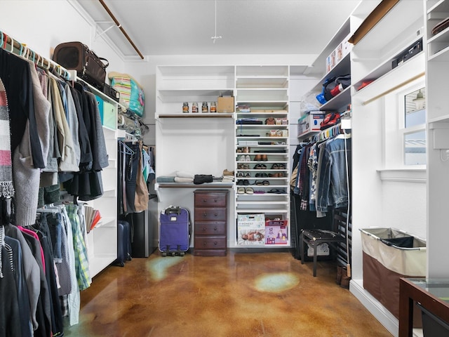 view of spacious closet