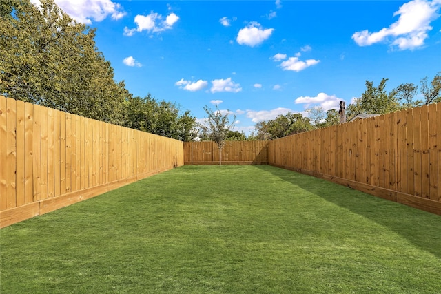 2322 Arroyo Ave, Dallas, TX 75219 - view of yard