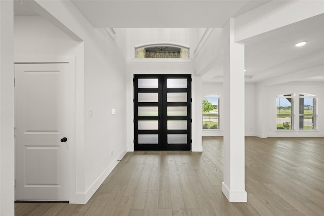 301 E Cheyenne Mountain Cor, Ovilla, TX 75154 - foyer entrance featuring wood finished floors, baseboards, and healthy amount of natural light