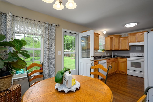 310 Otis St, Whitesboro, TX 76273 - kitchen with white appliances, under cabinet range hood, a chandelier, dark wood finished floors, and dark countertops
