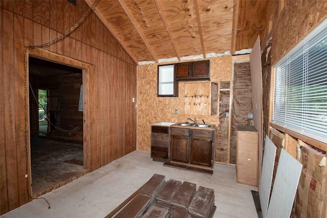 interior space with vaulted ceiling and a sink