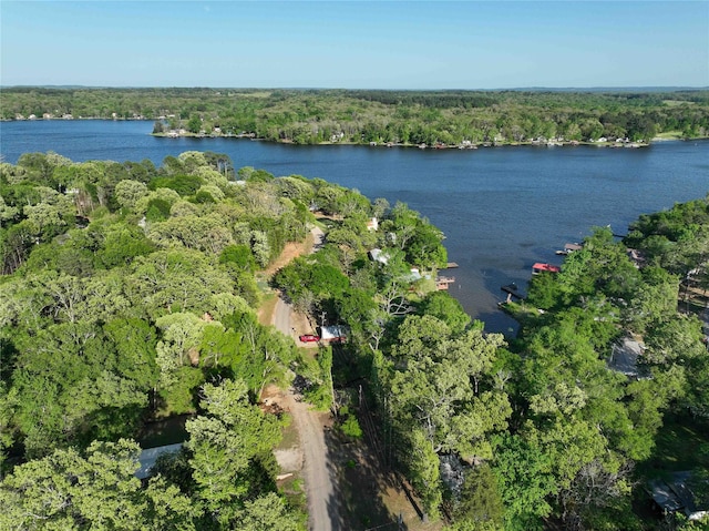 birds eye view of property featuring a forest view and a water view