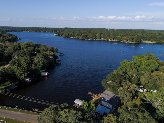 birds eye view of property with a wooded view and a water view
