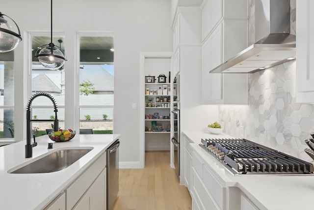 1808 Wren St, Argyle, TX 76226 - kitchen featuring wall chimney exhaust hood, light wood-type flooring, a sink, stainless steel appliances, and backsplash
