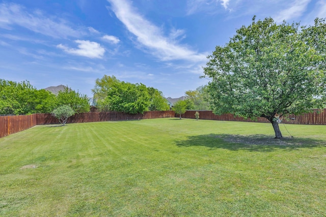 8405 Evening Star Dr, Rowlett, TX 75089 - view of yard