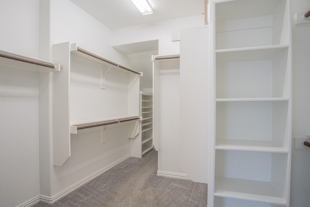 walk in closet featuring carpet floors